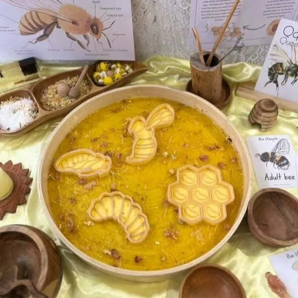 Bee Lifecycle Eco Sensory Tray
