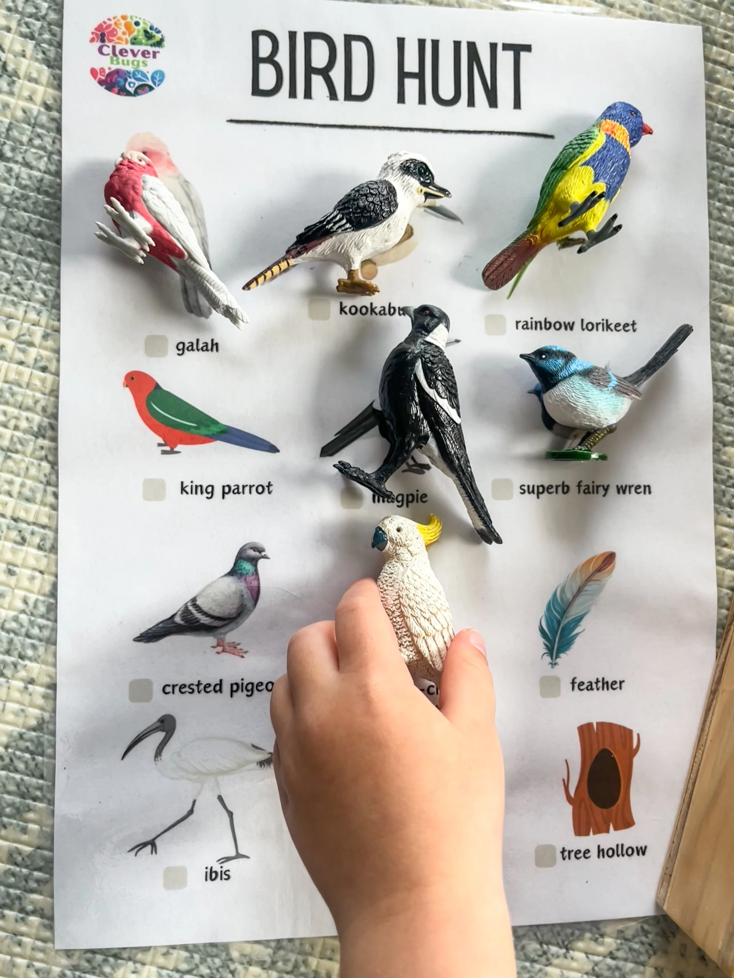 Bird Hunt Digital Download