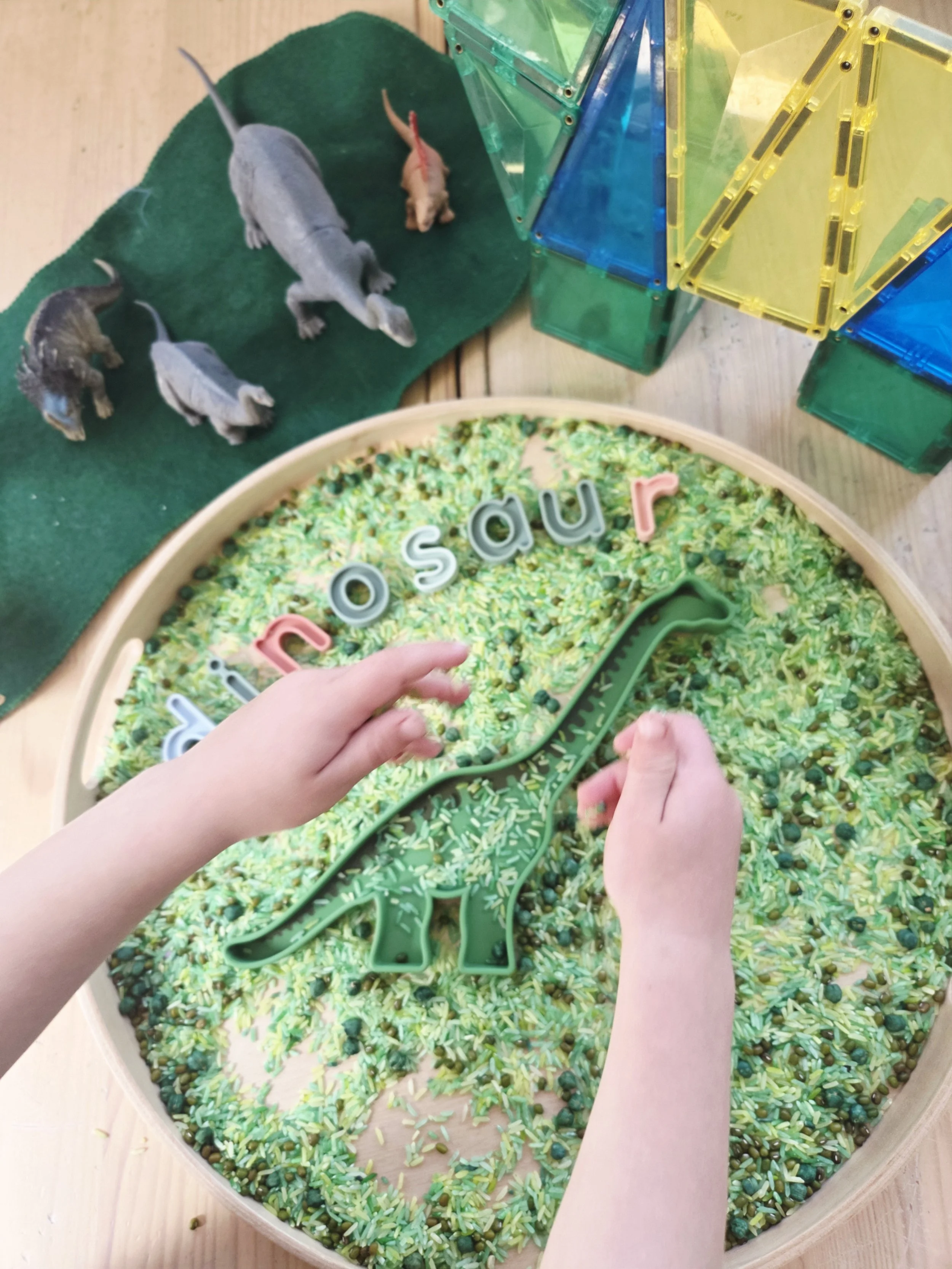 dinosaur play tray activity.jpg