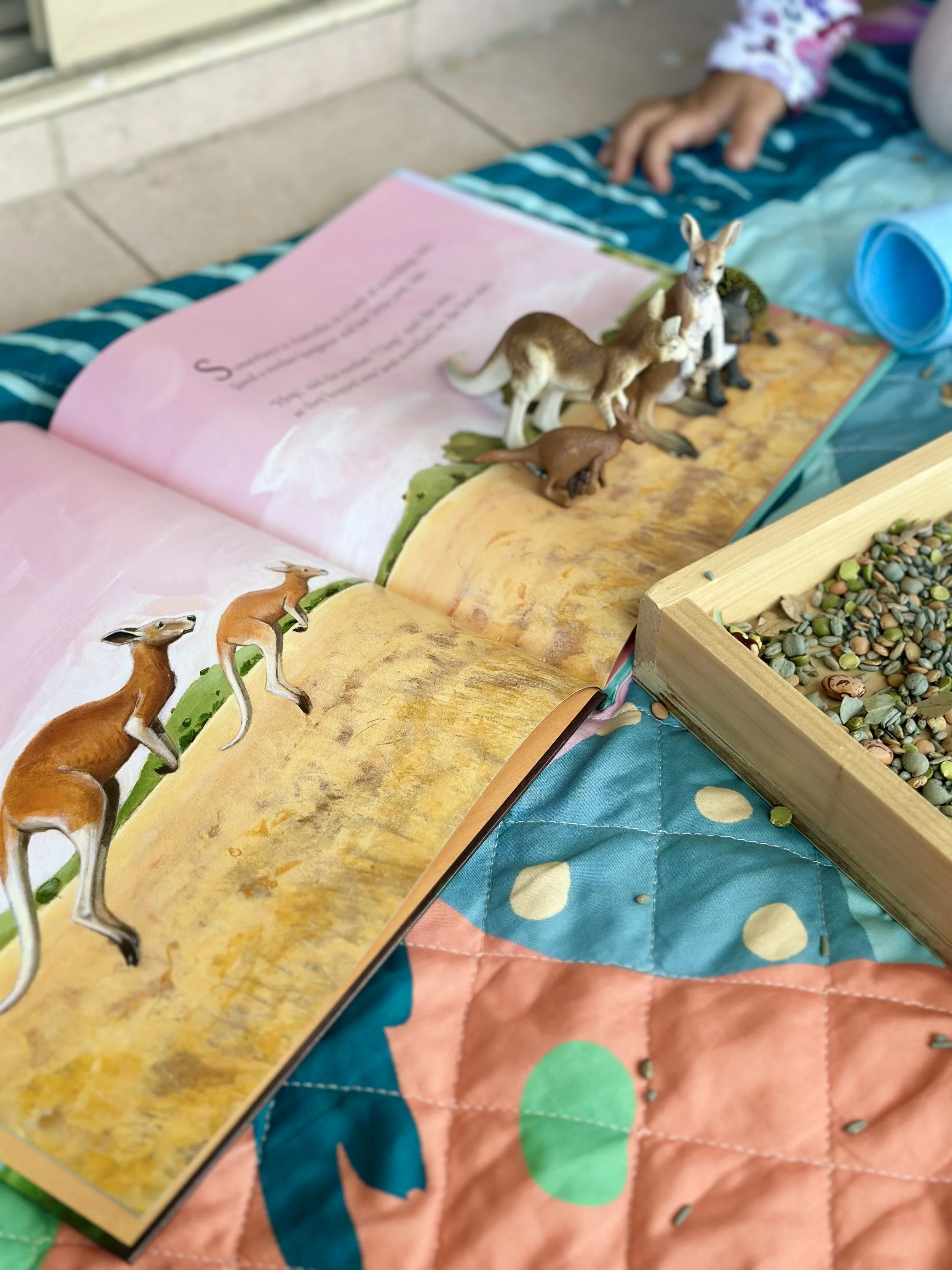 somewhere in australia sensory bin.jpg