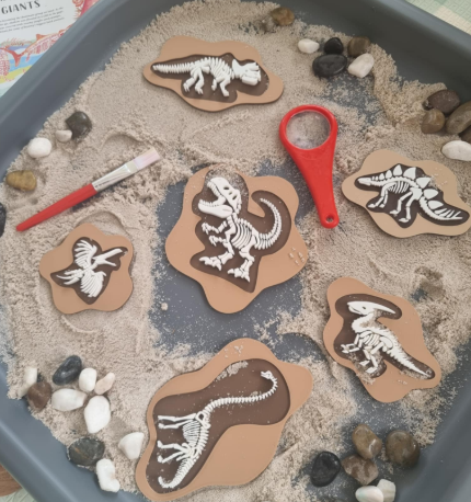 Dinosaur Fossils