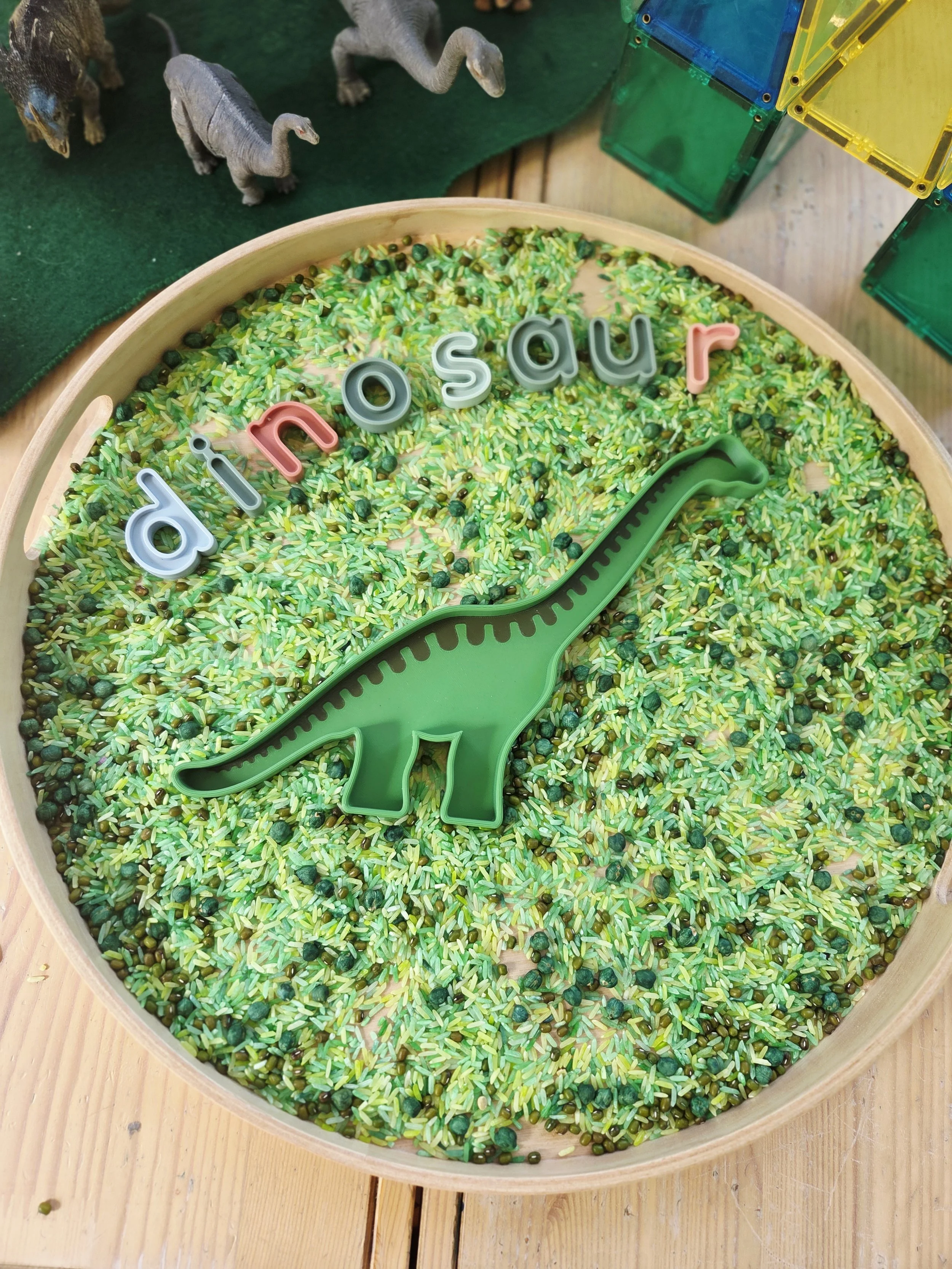 Dinosaur Sensory Tray