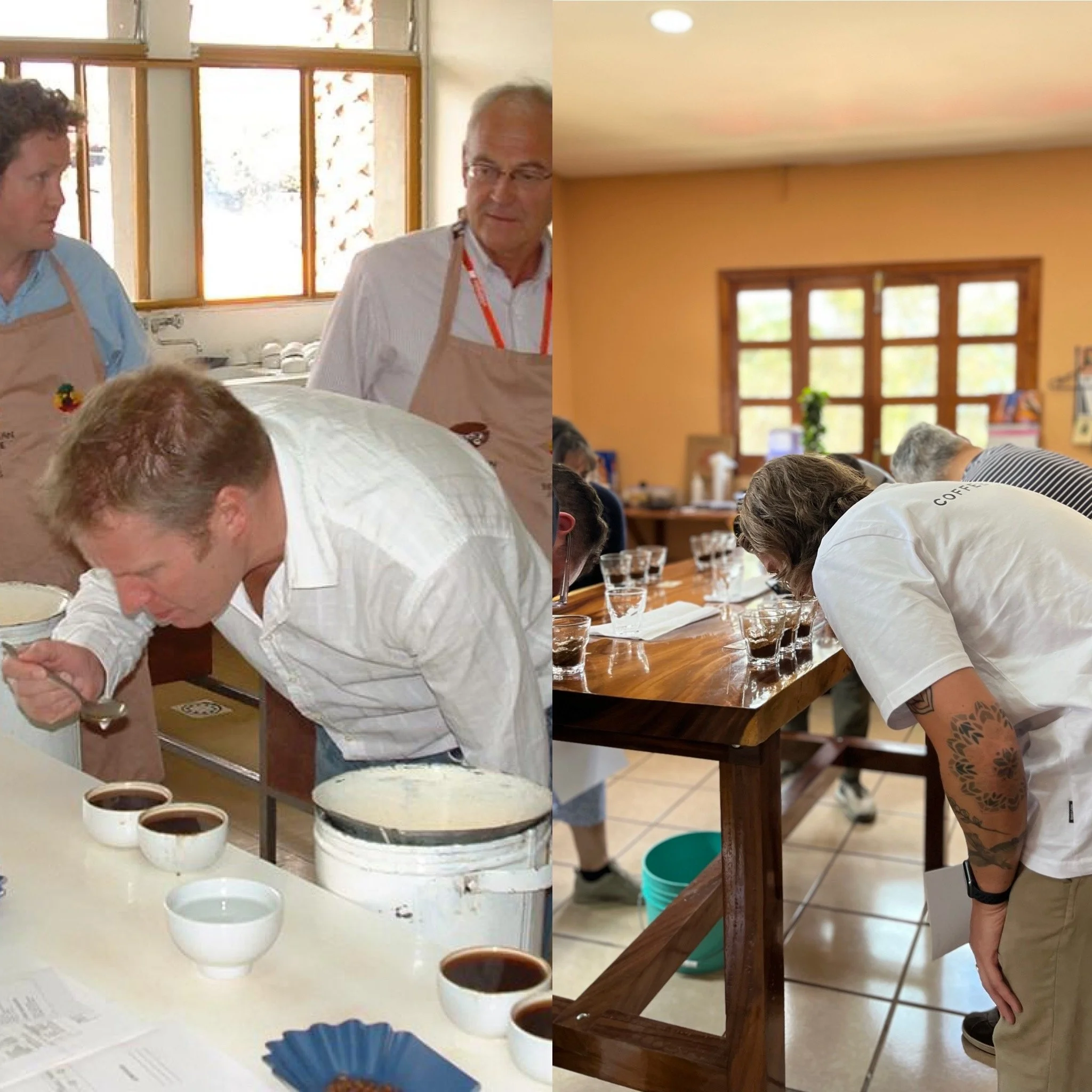 Wholesale — Coffee Brothers