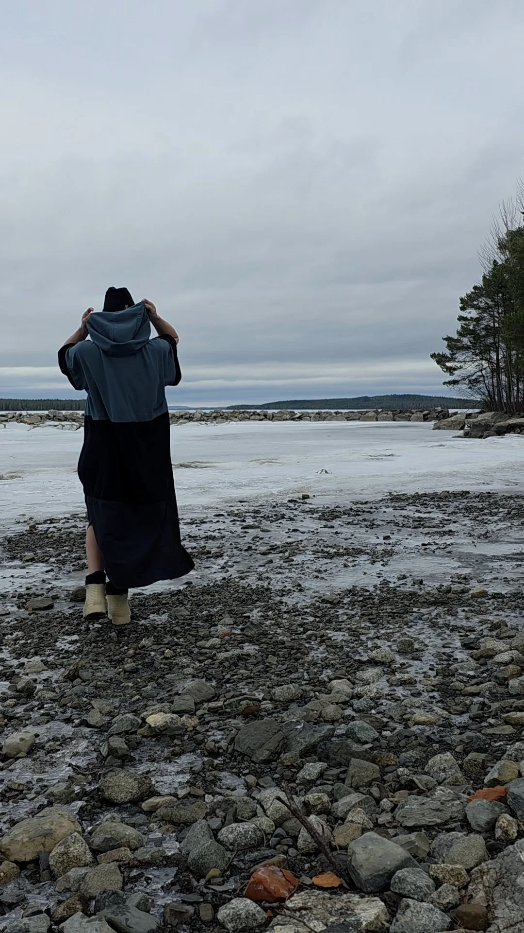 Fjällglim miljö3.jpg