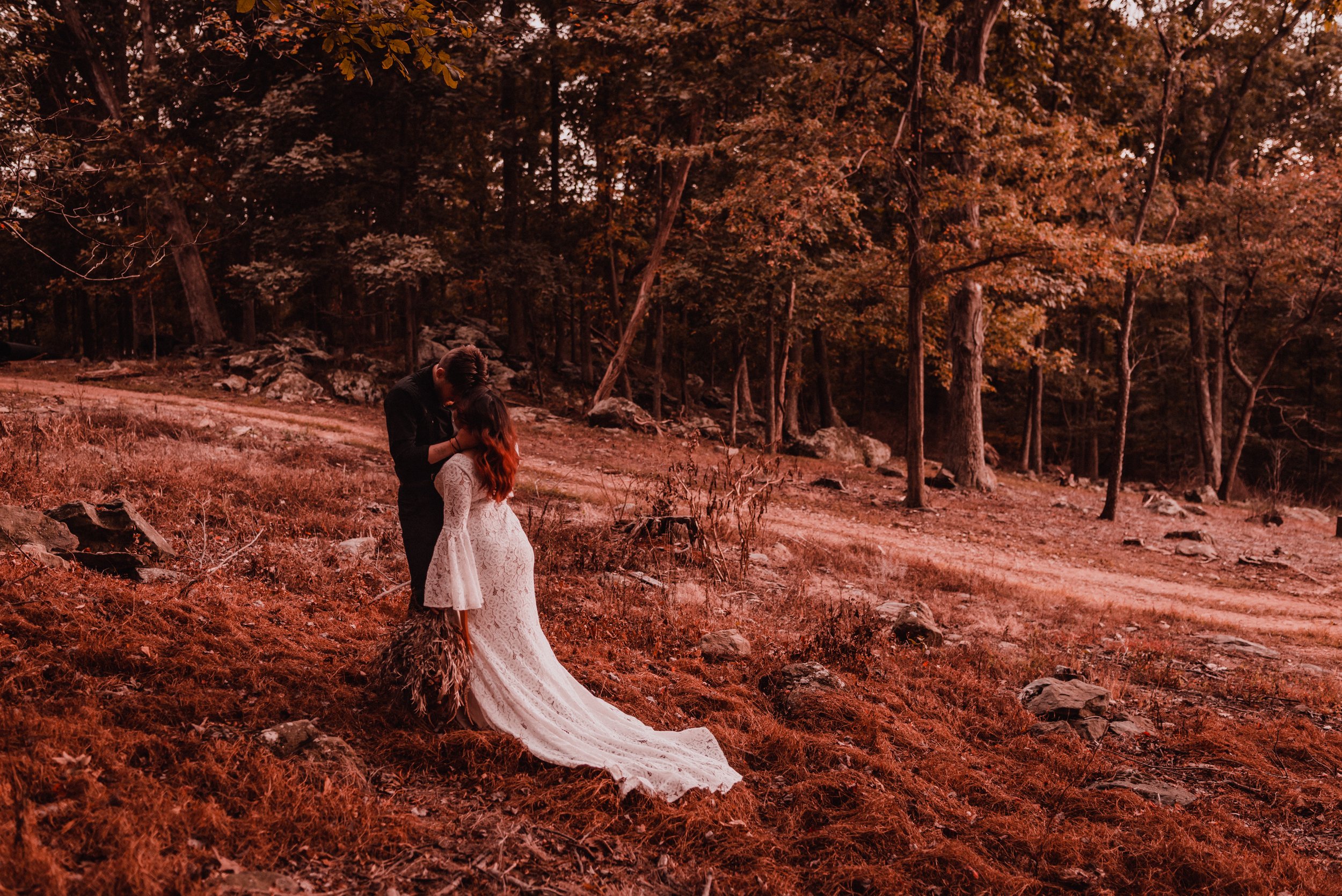 Je T'amie + Blake | Woodland Elopement | Sabillasville MD | Caboose Farm Wedding Photographer | Catoctin Mountain Elopement Photographer-92.jpg