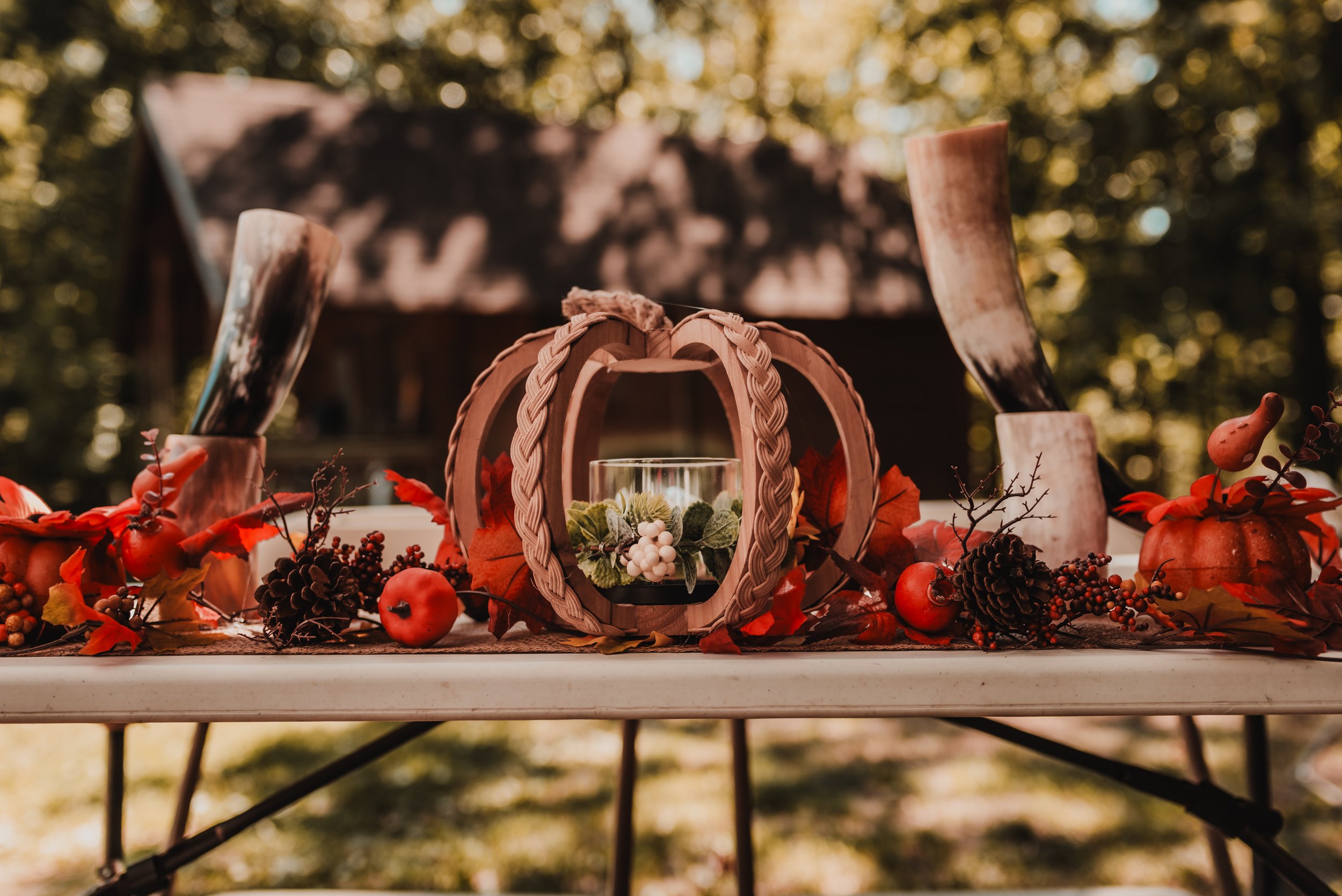 Angela + LaDonna Rocky Gap Viking Wedding-7.jpg