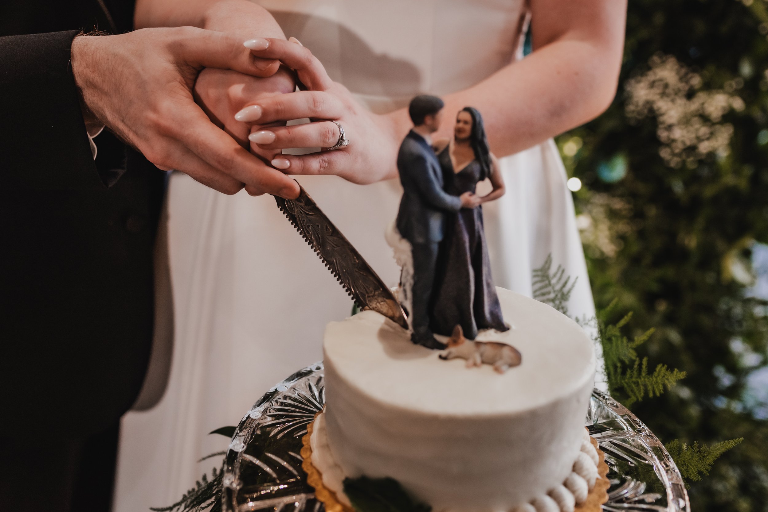 Reception Linfield Pittsburgh, PA National Aviary Wedding-287.jpg