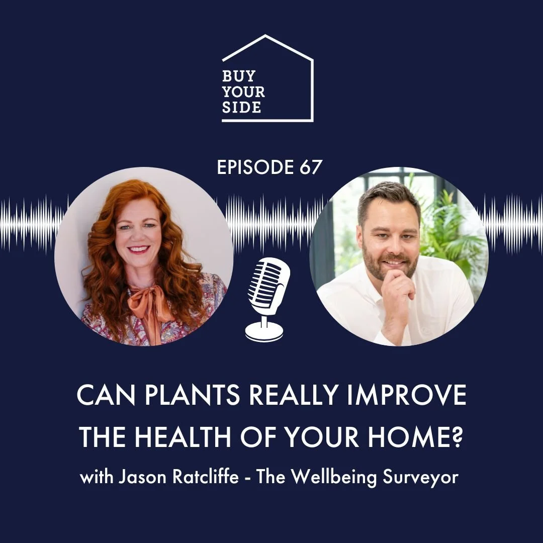 Ep 67. Can plants really improve the health of your home?