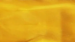 By Jackie Andrews-Udall