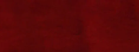 by Jackie Andrews-Udall