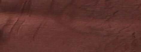 by Jackie Andrews-Udall