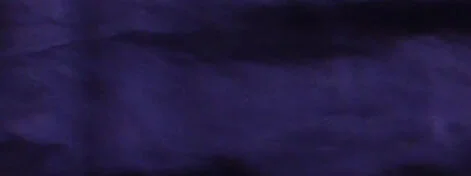 Jackie Andrews Udall