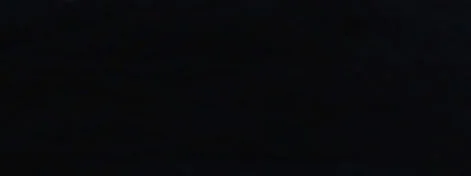 Jackie Andrews Udall