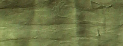 Jackie Andrews-Udall