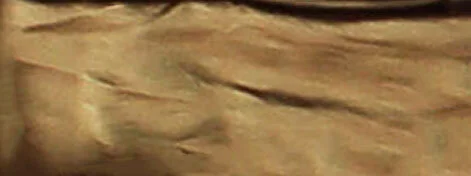 Jackie Andrews Udall