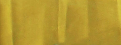 Jackie Andrews Udall