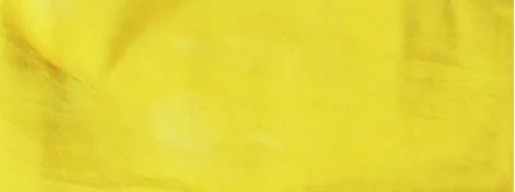 Jackie Andrews Udall