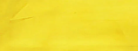 Jackie Andrews Udall