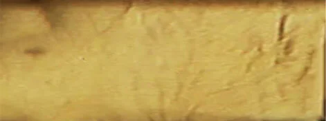 Jackie Andrews Udall