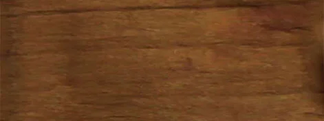 Jackie Andrews Udall