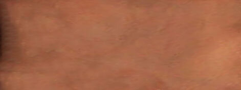 Jackie Andrews Udall