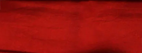 Jackie Andrews Udall