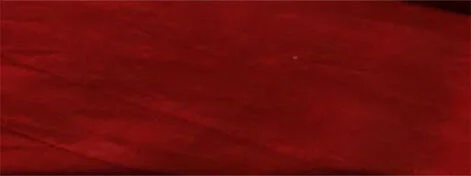 Jackie Andrews Udall