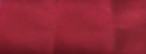 Jackie Andrews Udall