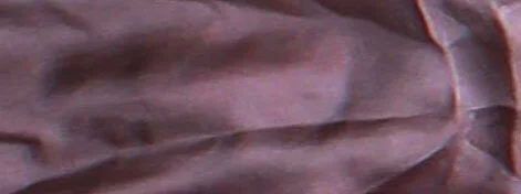 Jackie Andrews Udall