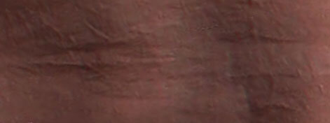 Jackie Andrews Udall