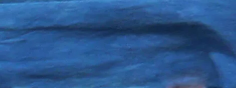 Jackie Andrews Udall