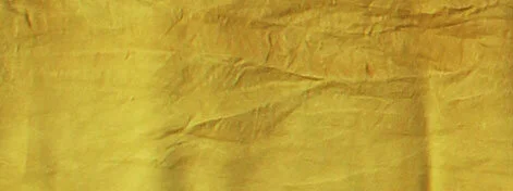 Jackie Andrews Udall