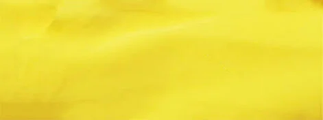 Jackie Andrews Udall