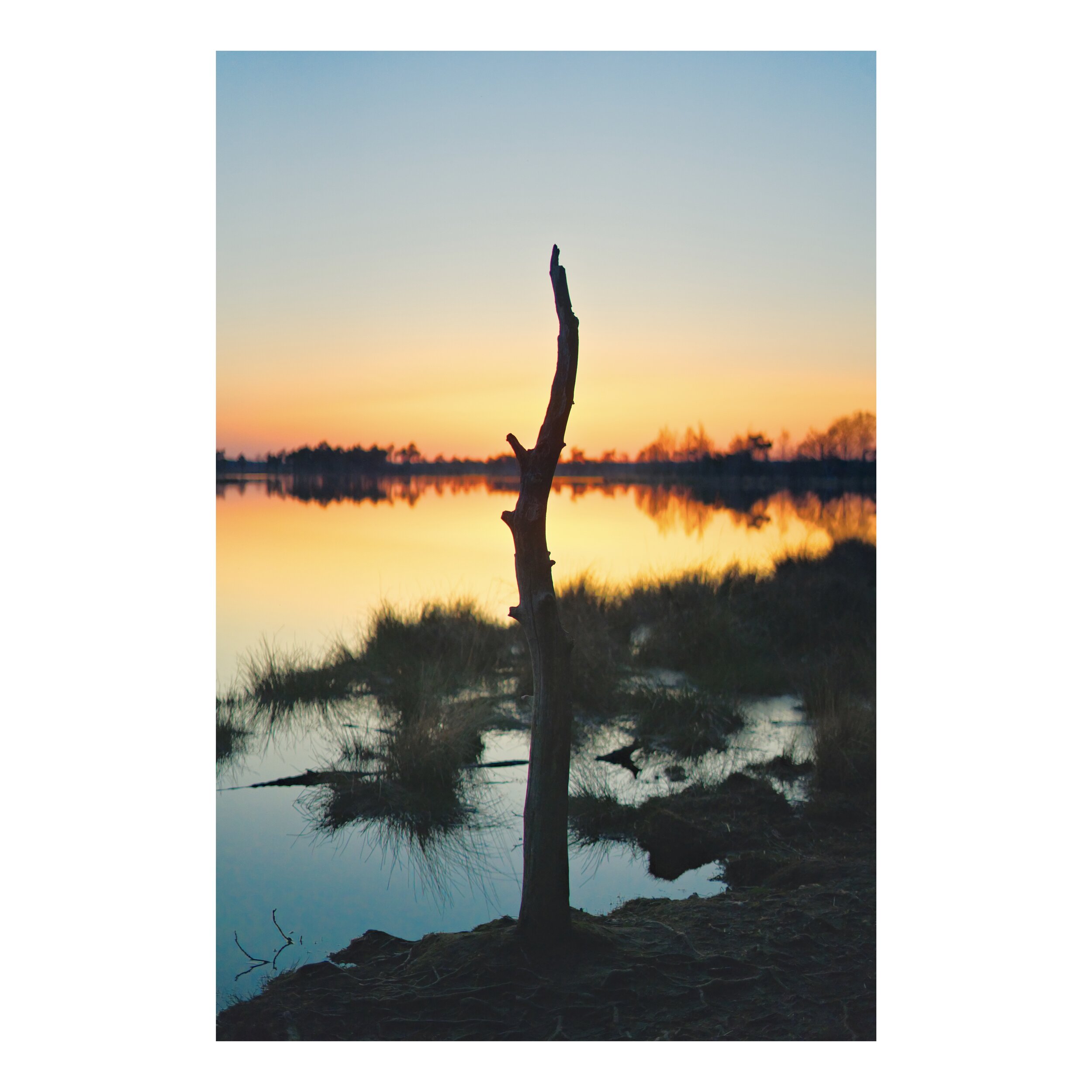 Een dode boomstam steekt omhoog aan de rand van een meer tijdens zonsondergang, met serene wateren en een kleurrijke lucht op de achtergrond.