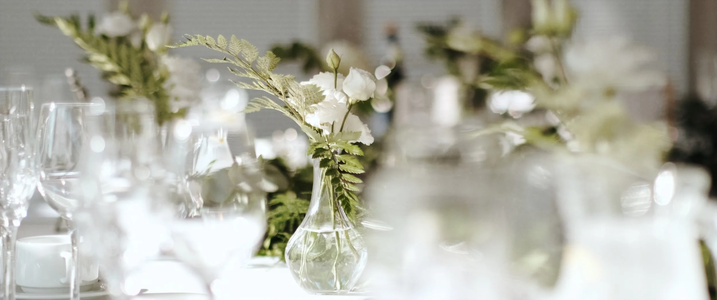 Oldwalls Gower Wedding Videography by Ben Holbrook Films4.jpg