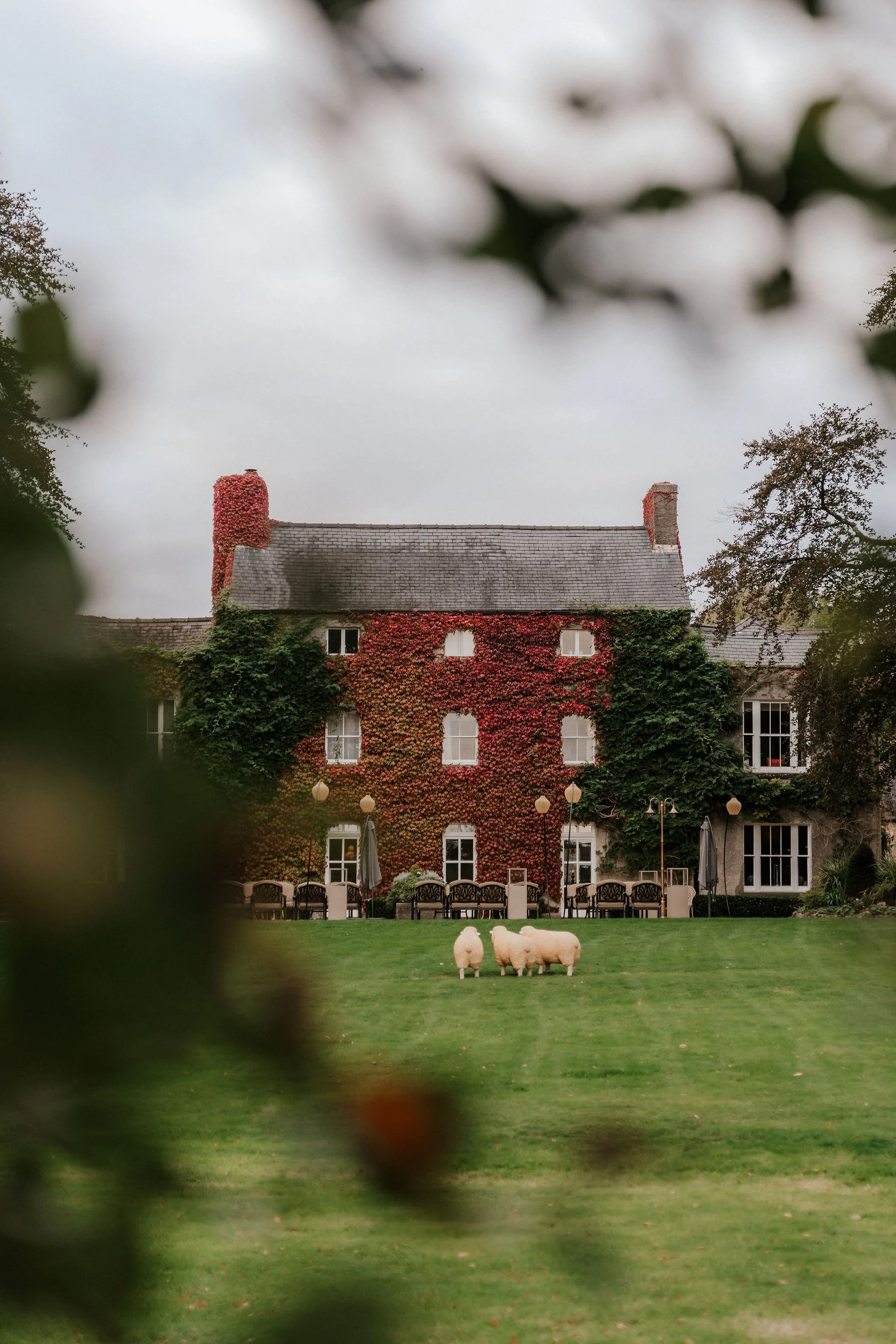 FairyhillWeddingPhotographybyBenHolbrook-90.jpg
