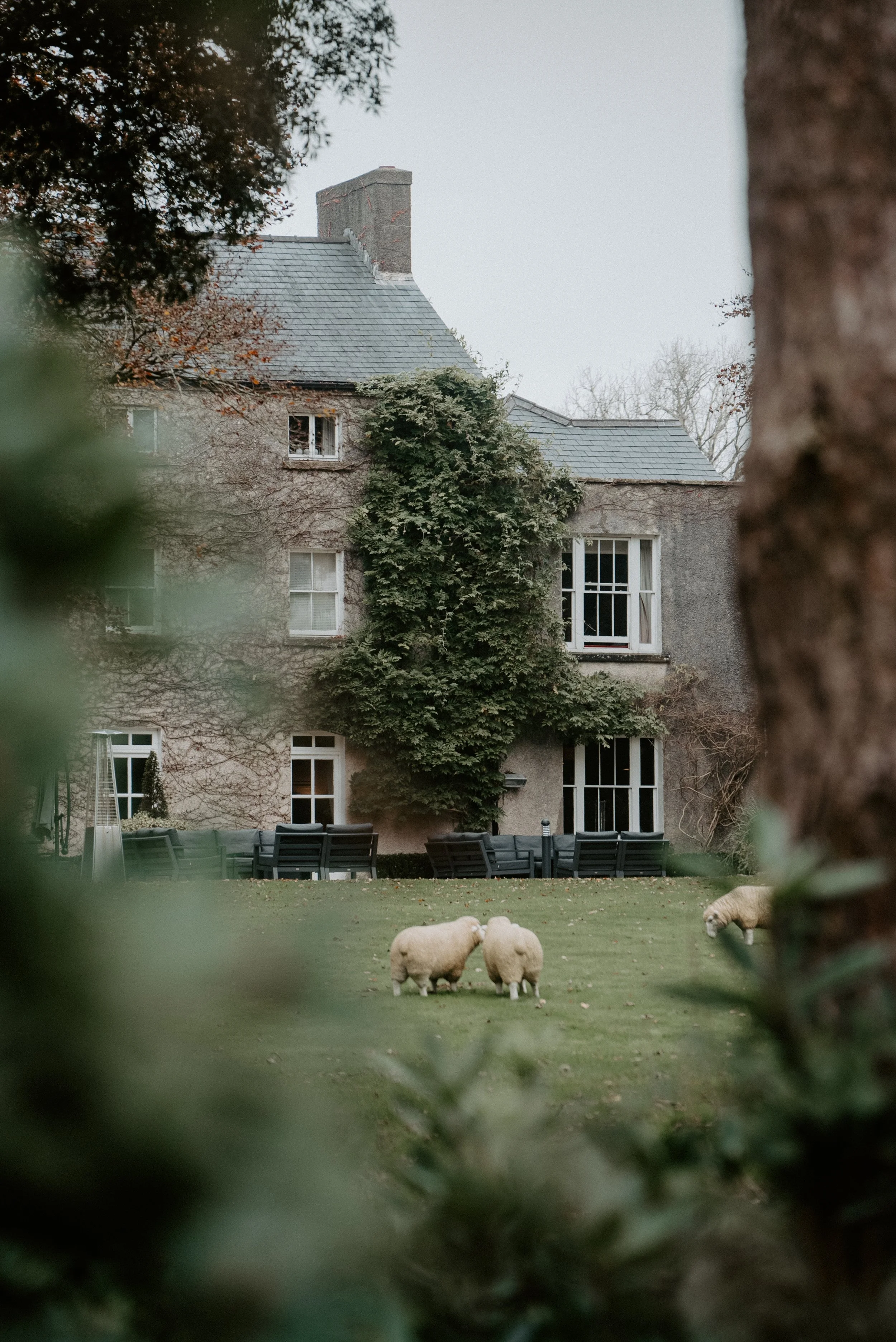 Fairyhill Wedding Photography by Ben Holbrook-4.jpg