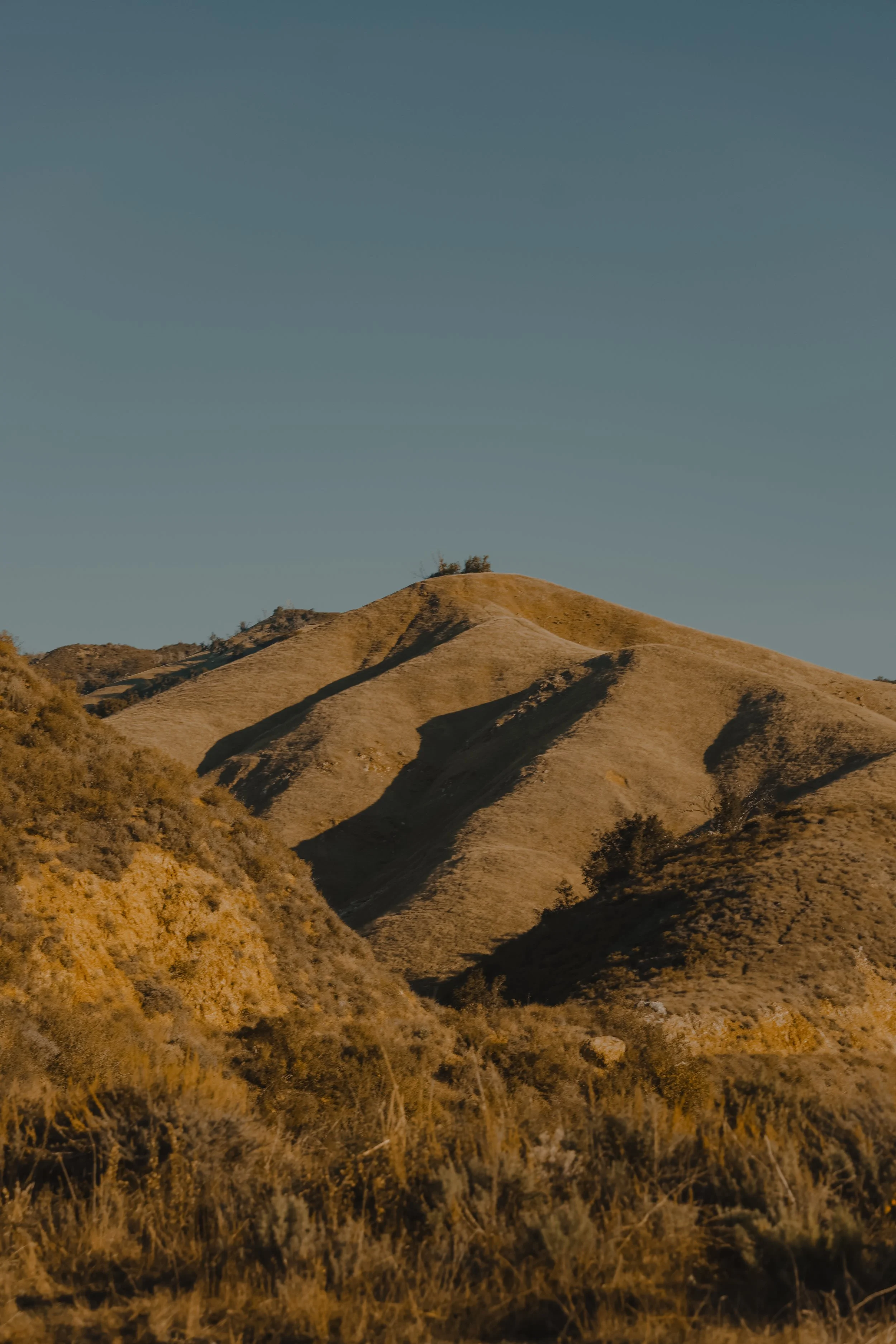 NorthernCA (tripphotos)-78.jpg