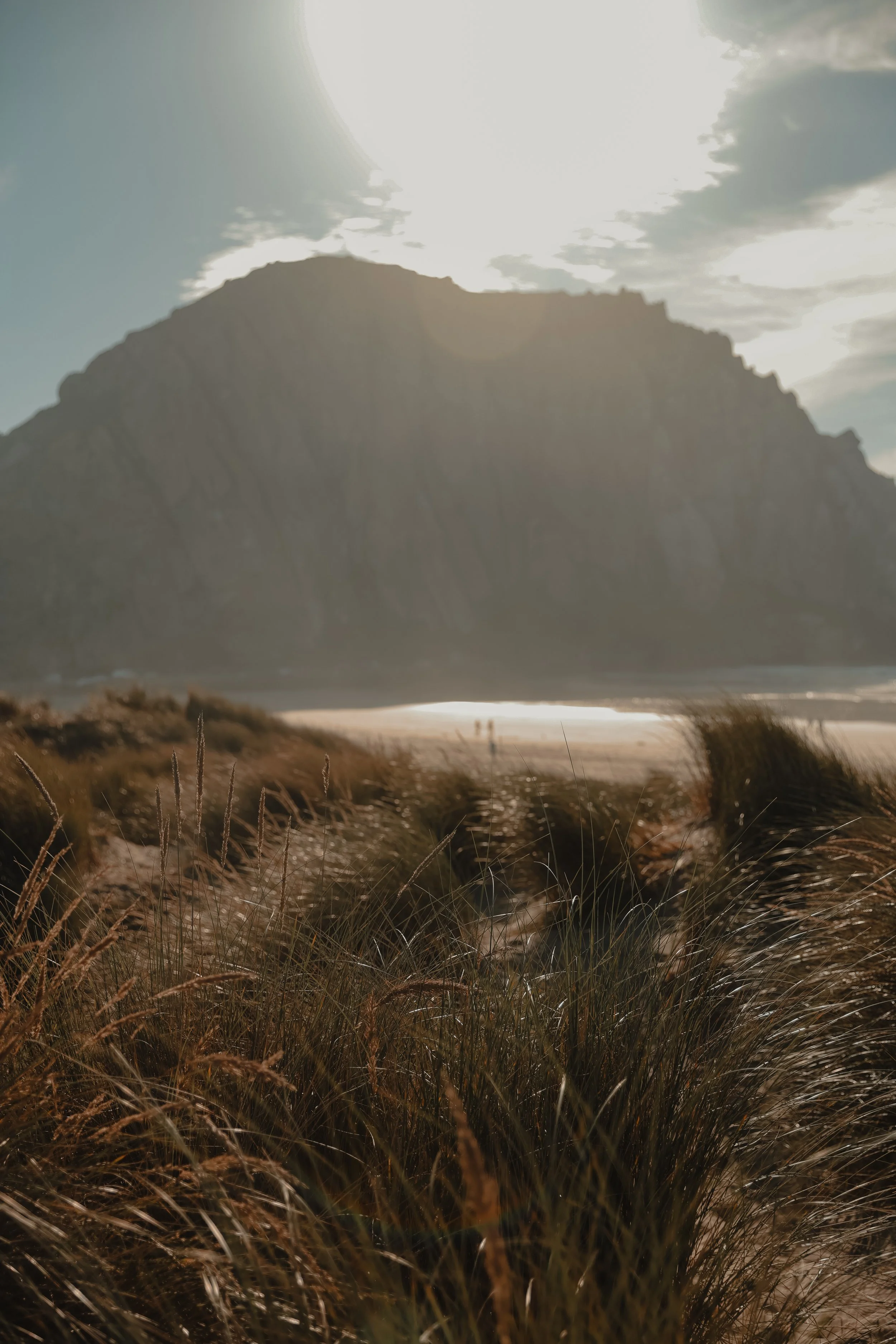 NorthernCA (tripphotos)-21.jpg