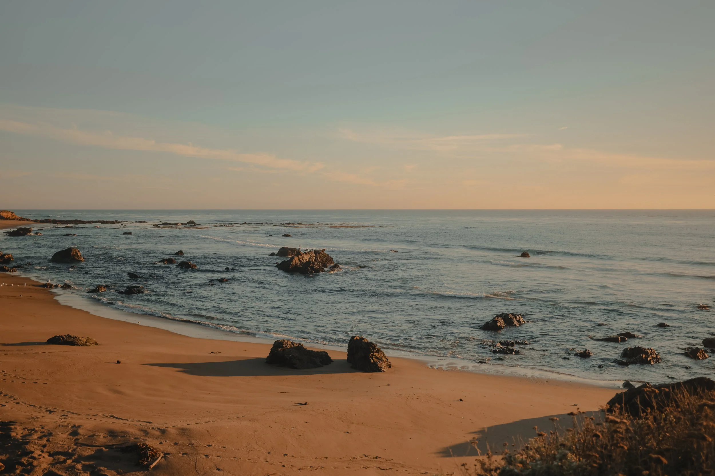 NorthernCA (tripphotos)-38.jpg