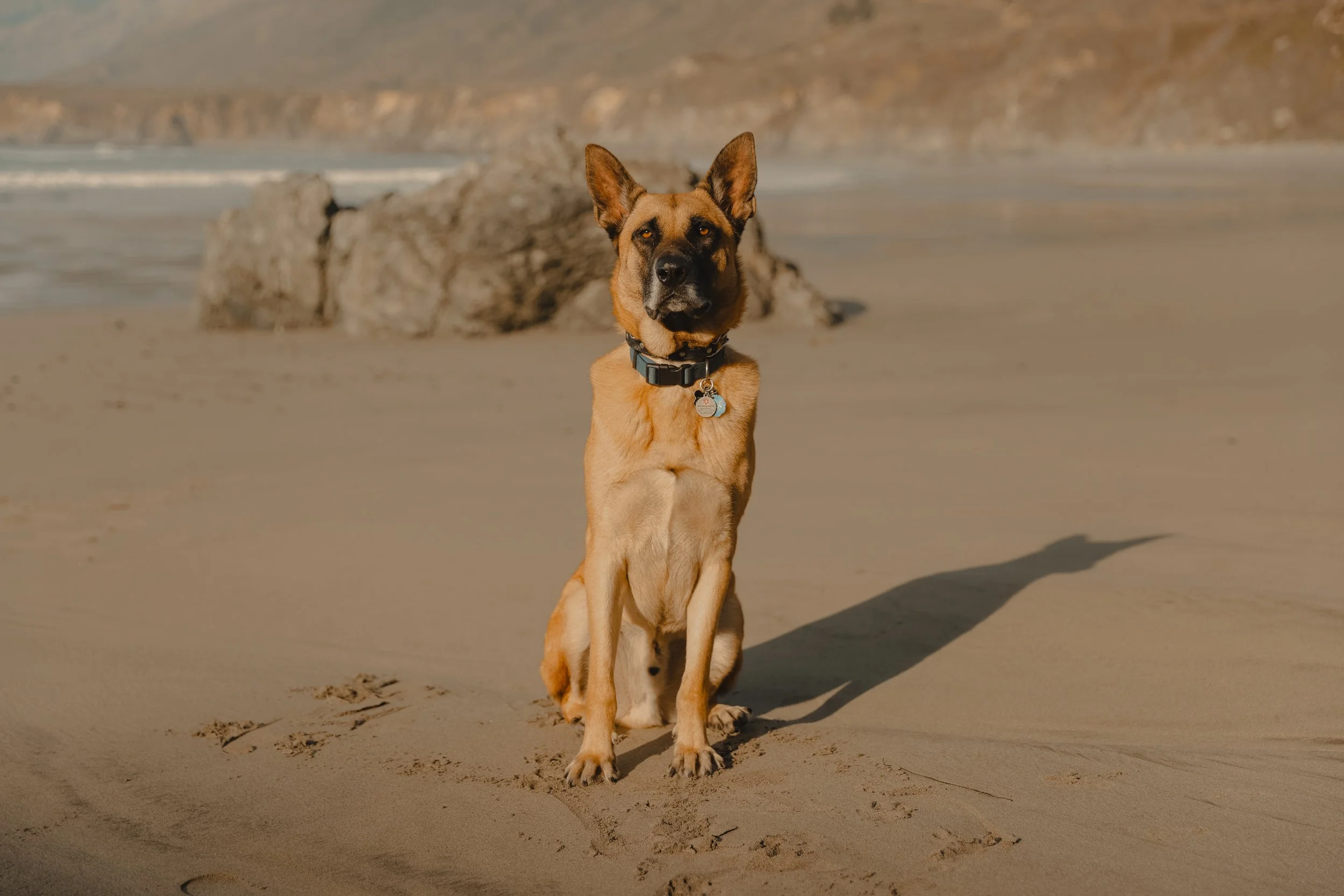 NorthernCA (tripphotos)-77.jpg