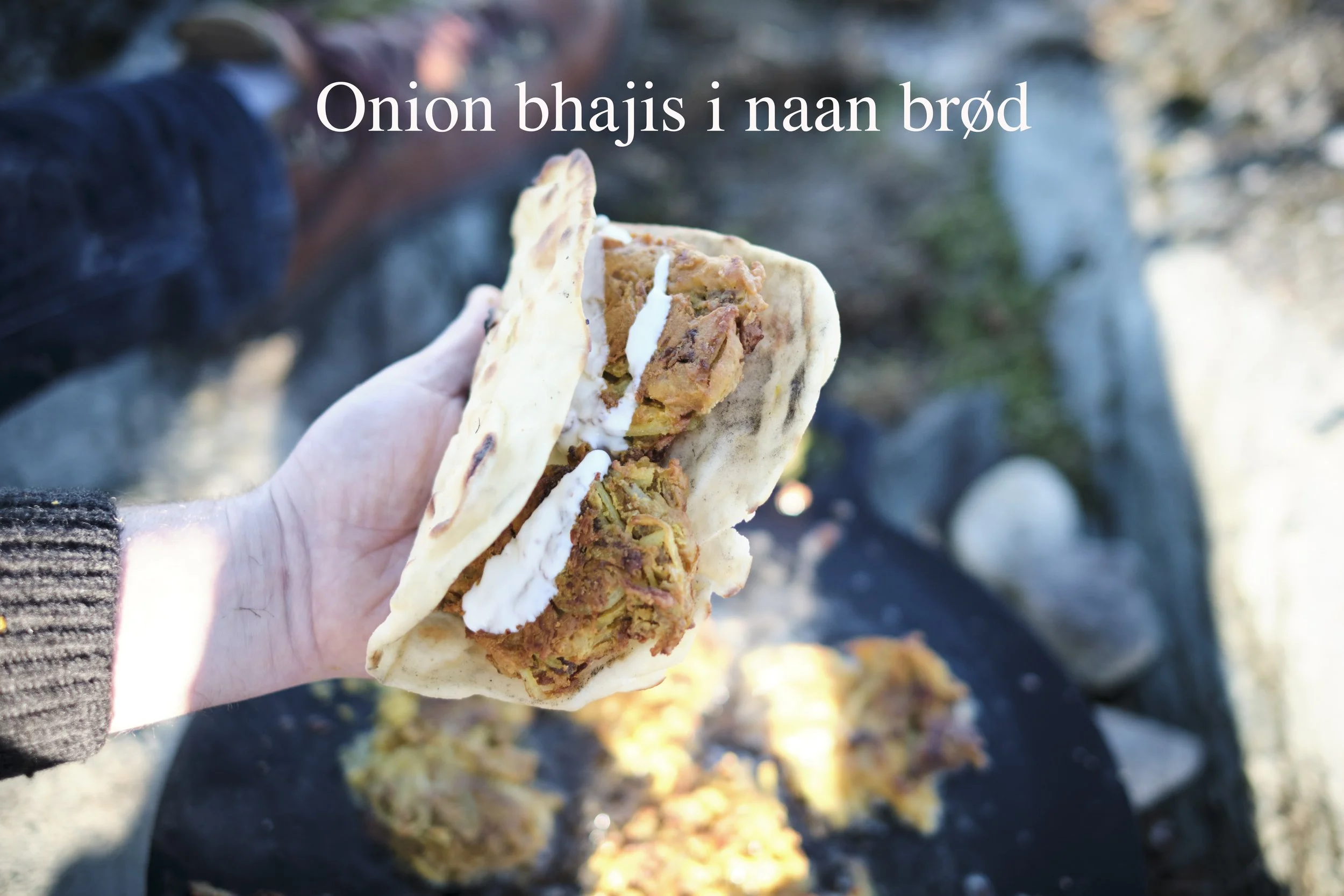 Onion 5.jpg