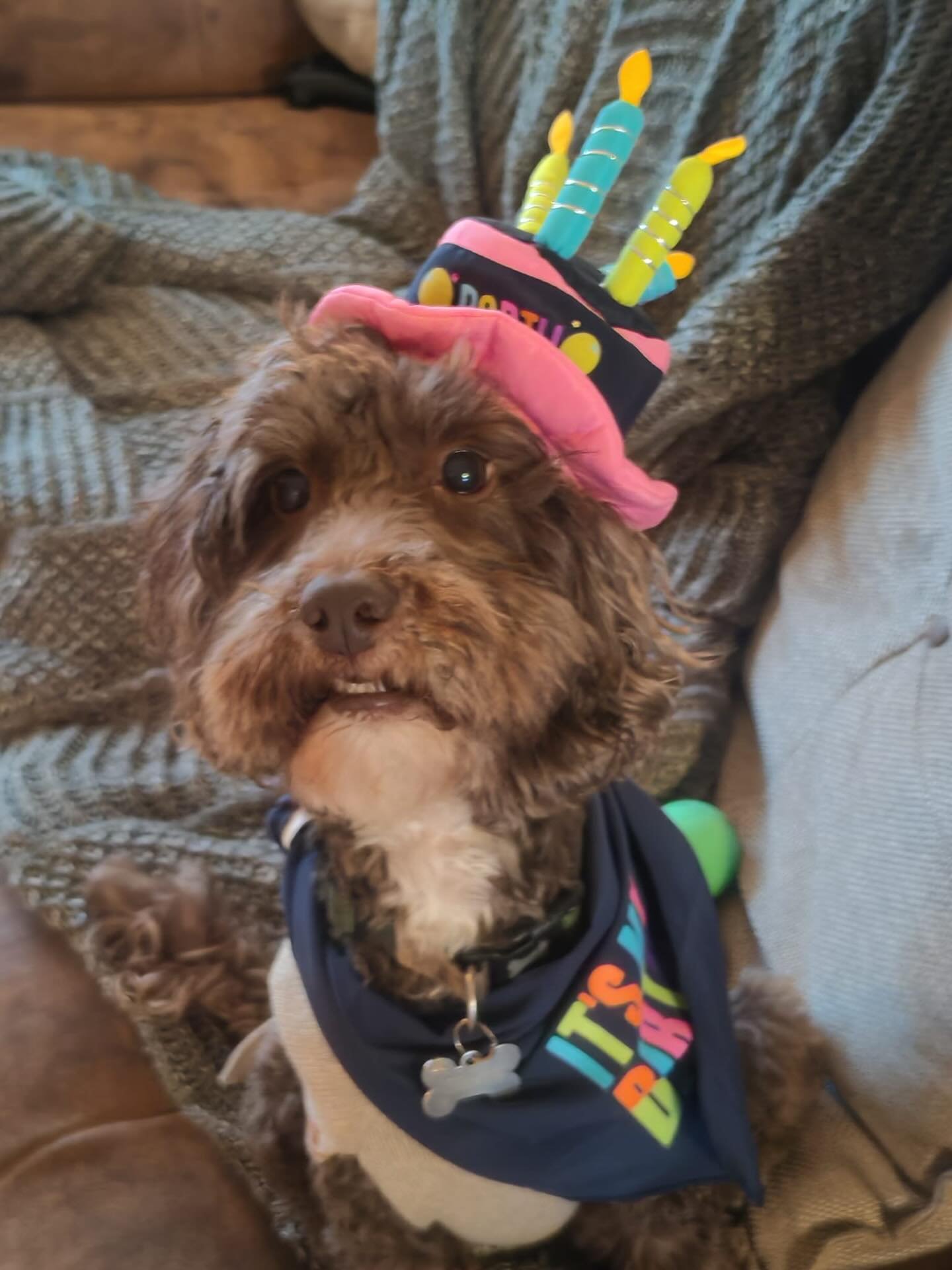 Happy Birthday to this loon! 🎊🎁🎂🎉🥳

Maxxy boy super inter-dimensional brown space goat dog dog is 9 today!! 🐕🚀🪐✨

Thank you for being my best mate 💖🌝🐶X