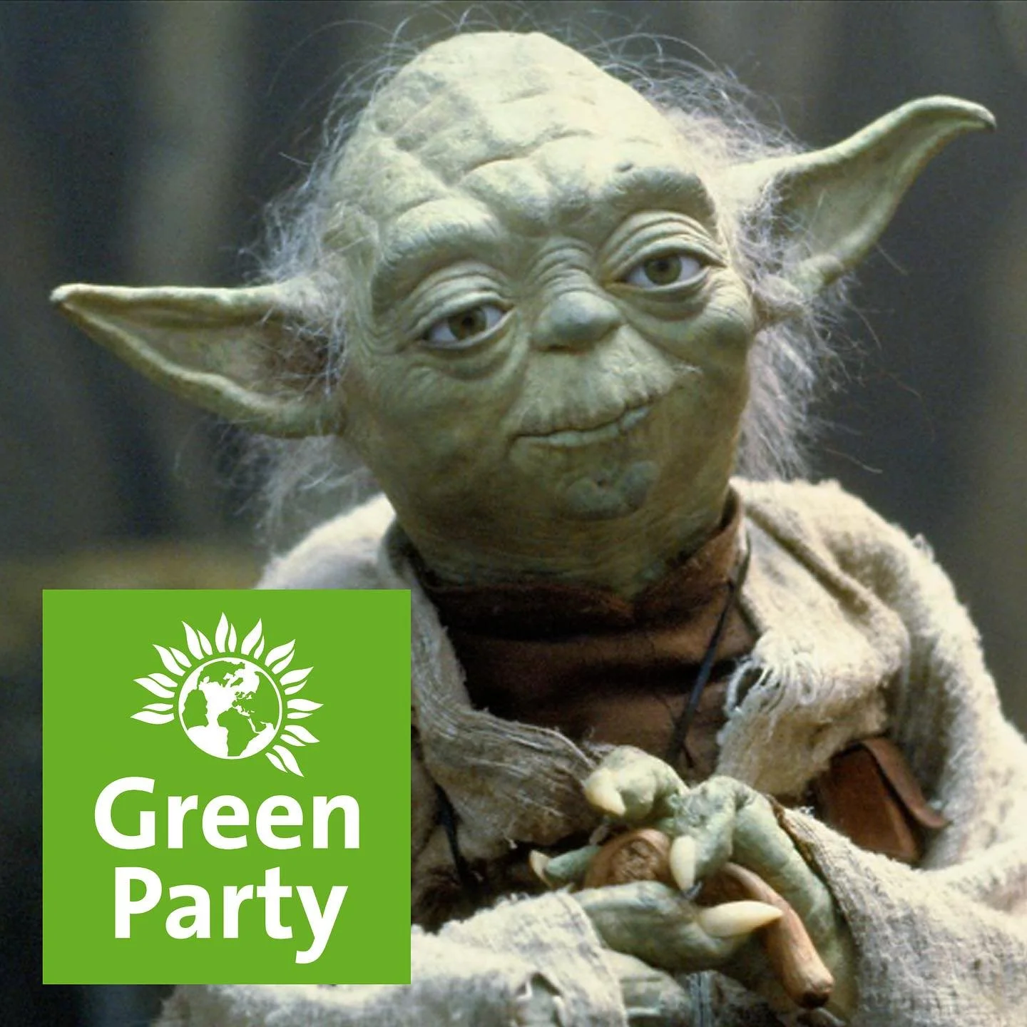 @jedhaworkshop will be voting Green 💚 @thegreenparty @greenpartyzack @hannahtheplumbermcr 

If you&rsquo;re still struggling to understand what Empathy is or intelligence - emotional and cognitive, inclusivity, integrity, morality, a respect for nat