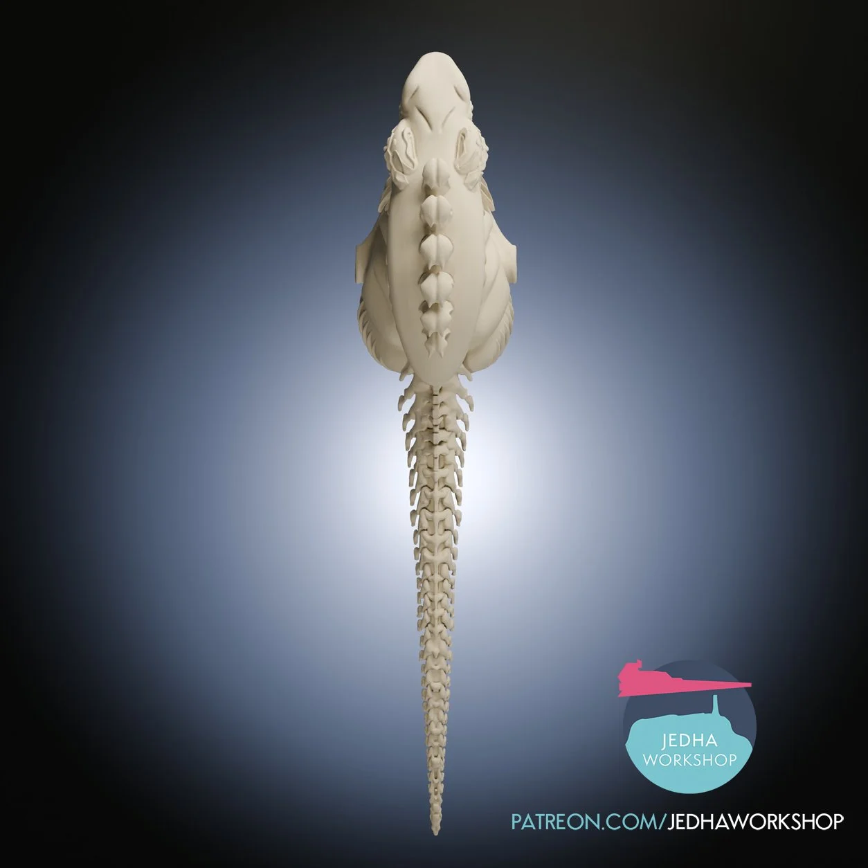 Xenomorph Foetus 3D 24.jpg (Copy)