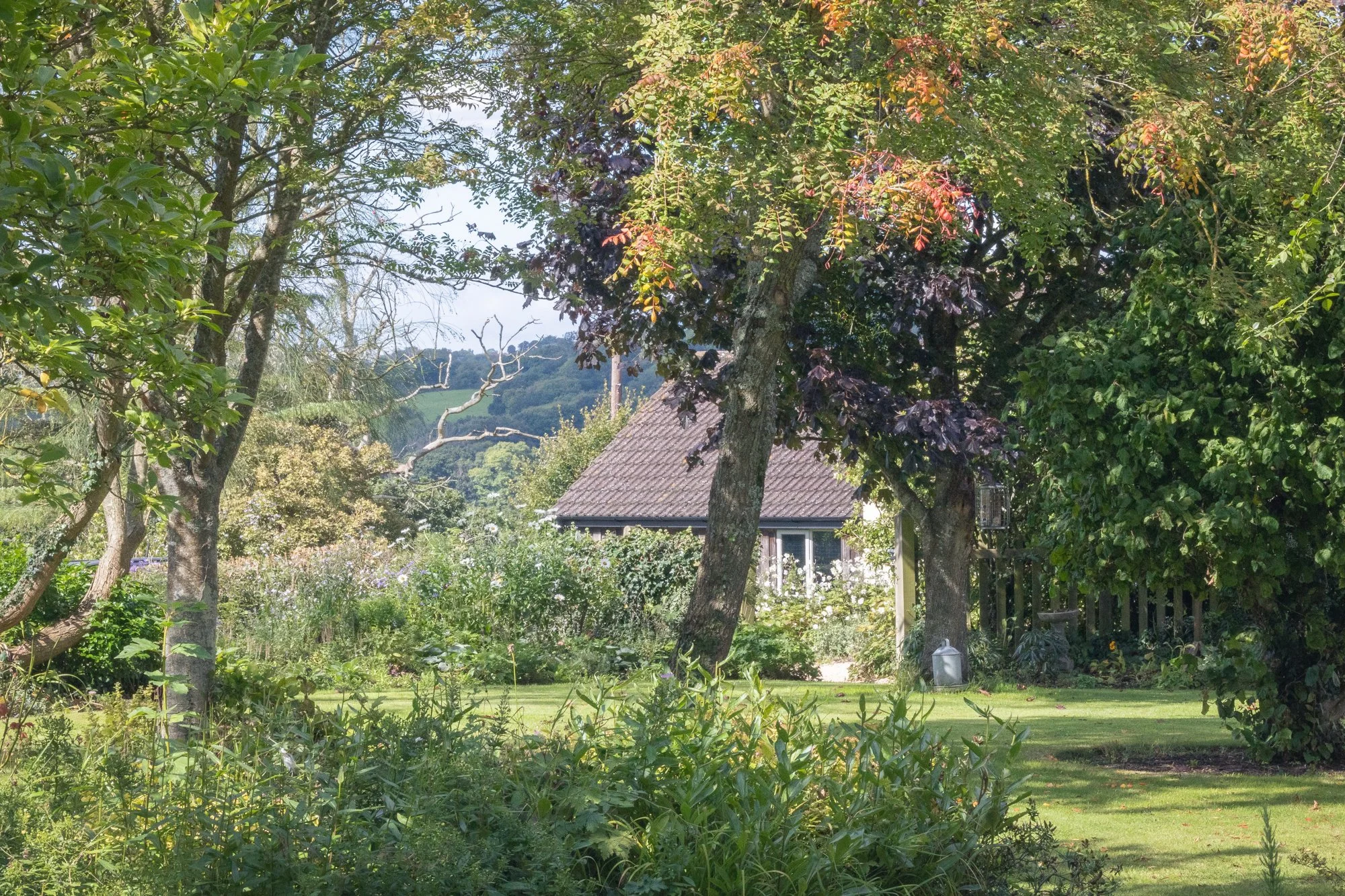 Garden Design in North Somerset and the Chew Valley