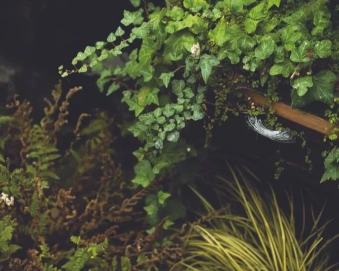 Designing Small Gardens in Bristol &amp; Bath