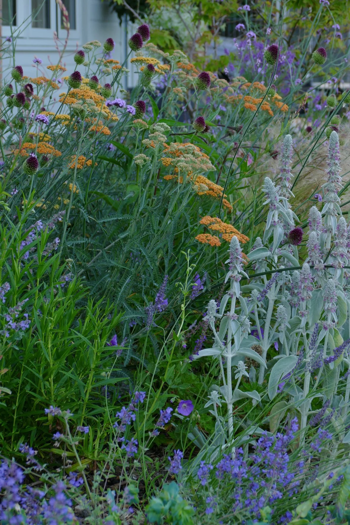 What Is Naturalistic Planting?