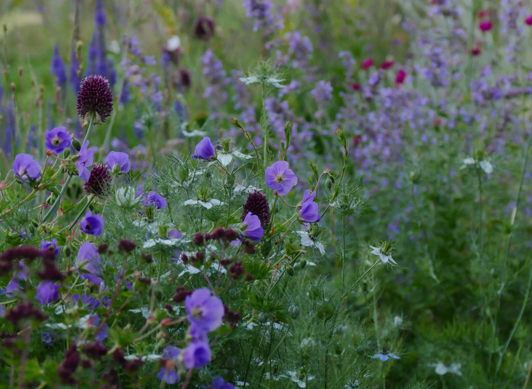 How easy is it to create low maintenance planting?