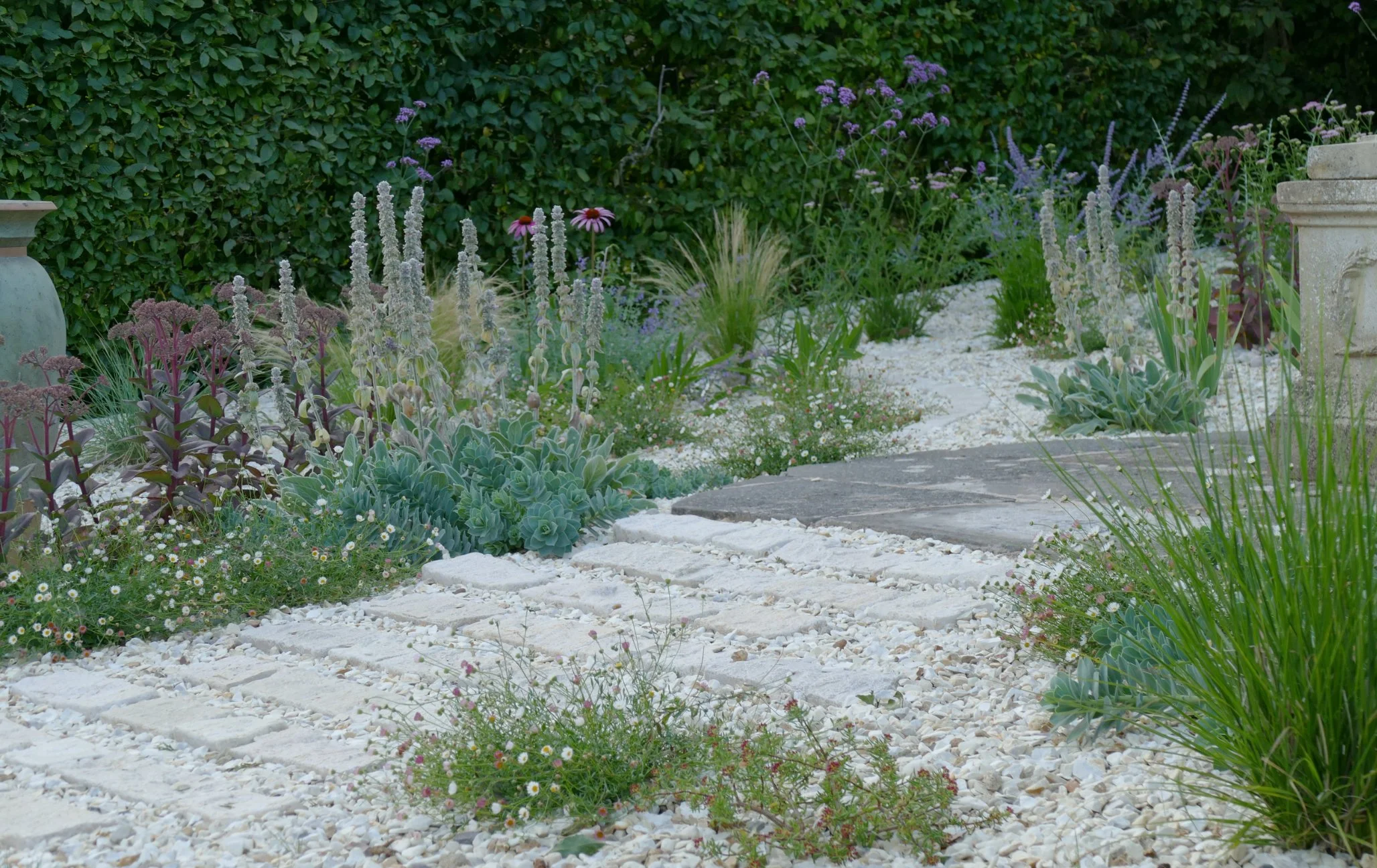 Gravel Garden Plants, North Somerset.jpg